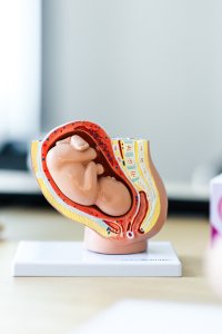 Dr. Schütz Gynäkologie